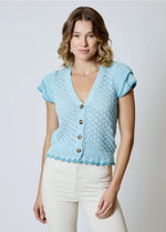 V-Neck Button Front Sweater - Artic Blue (Final Sale) V-Neck Button Front Sweater - Artic Blue (Final Sale)