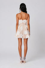 Dahlia Mini Dress - Ivory/Nude (Final Sale) Dahlia Mini Dress - Ivory/Nude (Final Sale)