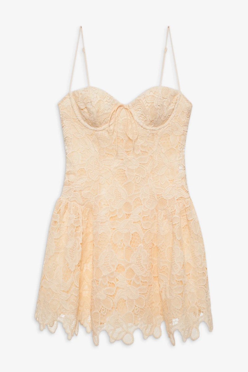 For Love & Lemons - Coco Lace Sleeveless Mini Dress
