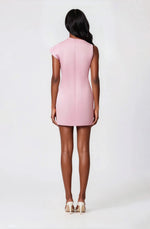 Rose Mini Dress - Blush Rose Mini Dress - Blush