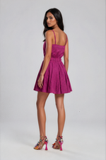 Kallie V Neck Sash Belt Mini Dress - Wild Rose Springtime Burnout (Final Sale)