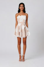 Dahlia Mini Dress - Ivory/Nude (Final Sale)