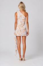 Sahara Mini Dress - Multicolor (Final Sale)