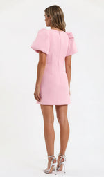 Harlynn Puff Sleeve Mini – Pink