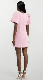 Harlynn Puff Sleeve Mini – Pink