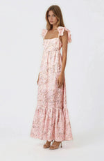 Regina Maxi Dress - Pink
